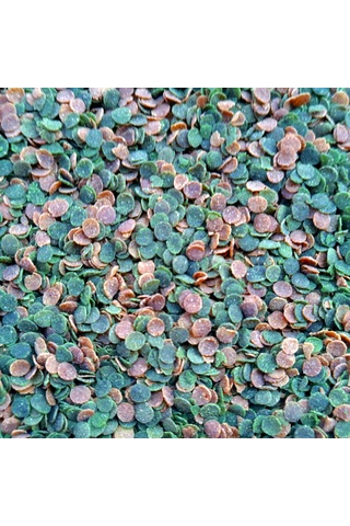 Veggie Green Algae 250ml + Veggie GarlicPro 250ml Kutu Balık Yemi