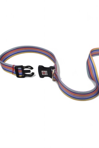 Caramelos Köpek Gezdirme Tasması, Bağlama Kilitli, Anti Shock 3 Çok Renkli