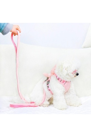 Evcil Hayvan Peluş Ayıcıklı Göğüs Gezdirme Tasması Set