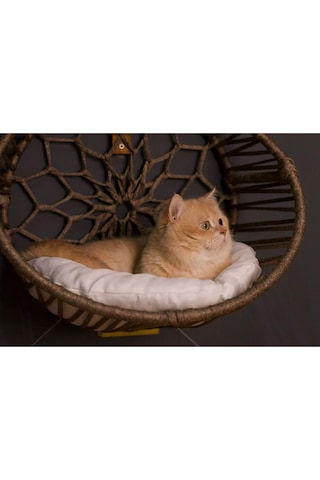 Kedi Köpek Kalorifer Askılı Yatak
