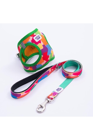 Rainbow Crew Göğüs Tasması Ve Sevk Kayışı Tasma Seti Renkli Kedi Köpek Göğüs Tasması Seti Xs Çok Renkli