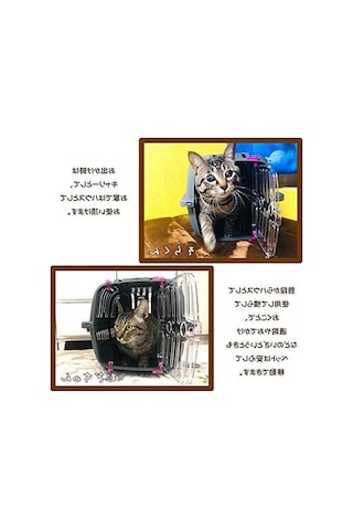 3.1 Phillip Lim Kedi Ve Köpekler İçin Taşıma Çantası, Pratik Mix Tasarım İle Konforlu Seyahat 0233 Orangeblue Cat