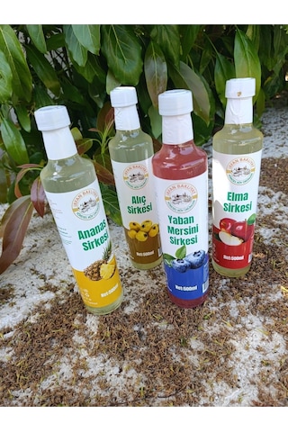 Ananas Sirkesi 500ml,alıç Sirkesi 500ml,elma Sirkesi 500ml,yabanmersini Sirkesi 500ml