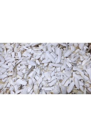 Kalamar Kemiği Kırık Toz 500 Gr