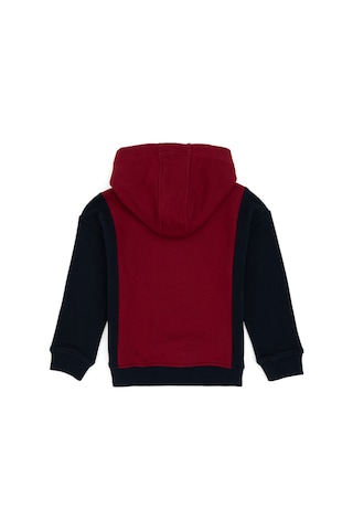 U.s. Polo Assn. Erkek Çocuk Bordo Sweatshirt 50316623-vr014 Bordo