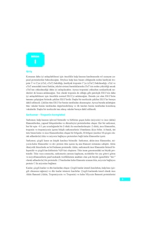 Olgular Temelinde Ekg Ve Troponin