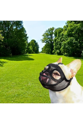 Homyl Ayarlanabilir Pet Köpek Dil-çıkartılmış-siyah-l