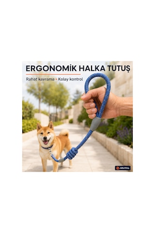 Evcil Hayvan Fitil Gezdirme Tasması 10 Mm X 120 Cm Kedi Köpek Gezdirme İpi Çok Renkli