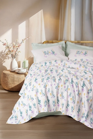 Cotton Box Cb Estıva Twıg Ck Pıke Takımı Mınt Mint