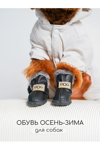 Petite Pets Küçük Irk Köpekler İçin Ayakkabılar 270587202