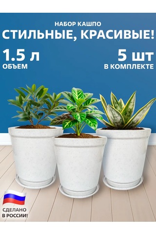 Galaopt Tabaklı Saksılar 1,5 L 5'li S 444572620