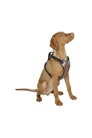 Köpek Gövde Tasması Pulsive Boyun 62-85cm - Göğüs 72-96cm Kahverengi