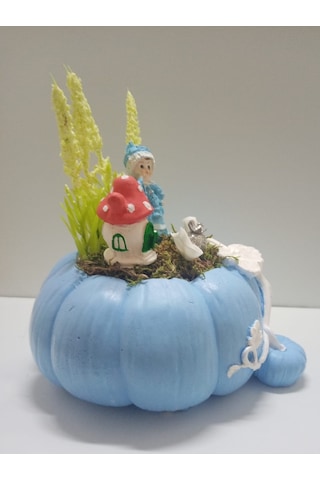 Neolife Yeni Doğan Erkek Bebek Aramıza Hoş Geldin Hediyesi Kabak Teraryum