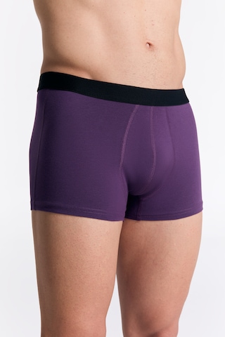 Albero Natur Gots Sertifikalı Organik Pamuk Erkek Trunk Boxer İç Çamaşırı Mor
