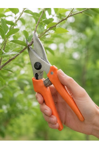 Turco T19 Budama Makası Ergonomik Saplı Keskin Bağ Bahçe Dal Makası