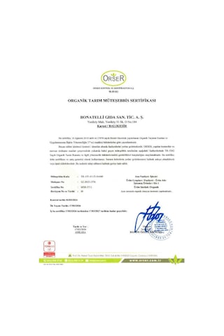 Organik Ev Eriştesi 300 G