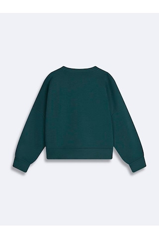 Ltb Camese Colorado Baskılı Sıfır Yaka Uzun Kollu Sweatshırt 11258107161071 3974 Çok Renkli