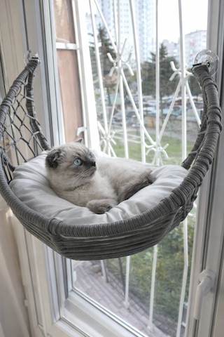 Crescent Vantuzlu Kedi Cam Yatağı - Pencere Askılı Kedi Hamamağı - Örgü Tasarım Minderli Kedi Yatağı
