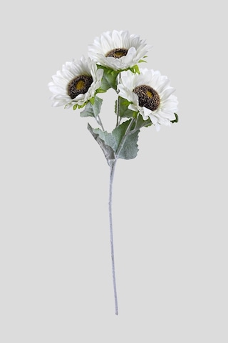 Beyaz Yapay Ay Çiçeği 3 Dallı Lüx İpeksi Dokulu 65 Cm