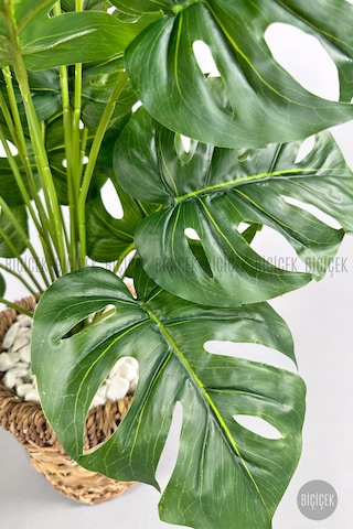 Biçiçek Yapay Monstera Deve Tabani 65 Cm Demi̇r Destekli̇ Kulpsuz Hasir Saksıda