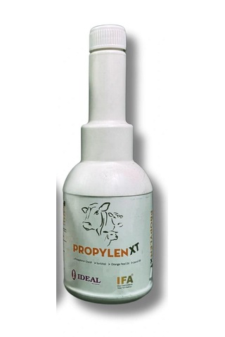 Propylen Xt 500 Gram Yeni Nesil Enerji Regülatörü