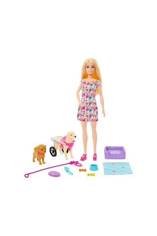 Nessiworld Htk37 Barbie Ve Engelli Köpeği Oyun Seti-39254
