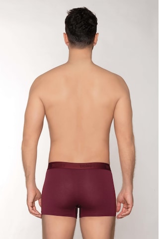 Dowry Erkek Modal Boxer Logo Lastikli Kısa Bordo Bordo