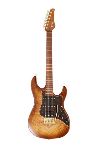 Fujigen Odyssey Elektro Gitar Eos2ew1rm/hcb