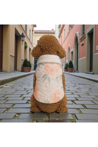 Gedyco Salmon Yumuşacık Baharlık Küçük Irk Köpek Yelek Yağmurluk