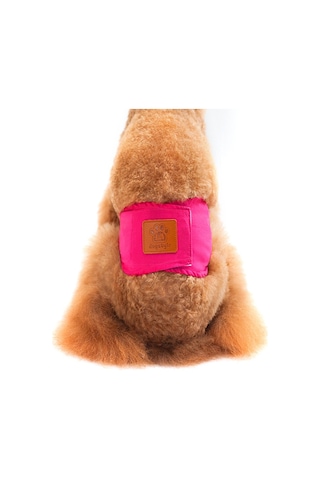 Pet Erkek Köpekler İçin Düz Renk Fizyoloji Pantolon Kibar Ve Taciz Önleyici Köpek Güvenlik Pantolonu, Boyut: M Kırmızı