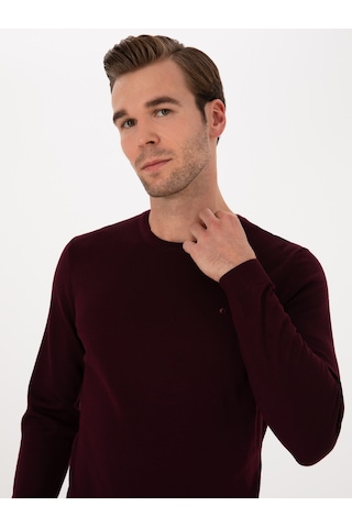 Cacharel Erkek Bordo Kazak /triko 50315266-vr263