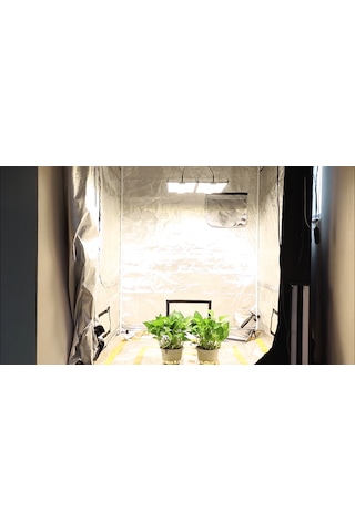 240w Quantum Board Bitki Yetiştirme Lambası 283b Full Spektrum