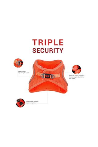 Tailpetz Air-mesh Küçük Ve Orta Irk Kedi Köpek Göğüs Tasması - Yumuşak, Nefes Alabilir, Dayanıklı Neon-turun Genel
