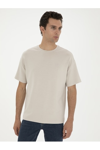 Taş Slim Fit Bisiklet Yaka T-shirt Gri