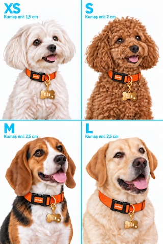 Caramelos İsimli Köpek Tasması, Ayarlanabilir Yavru, Mini, Orta Ve Büyük Irk Köpek Tasması, Turuncu