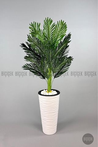 Biçiçek Areka Ağaci 150 Cm Beyaz Kumsal Saksıda Tek Gövdeli̇