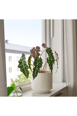Ikea Sandkorsbar Seramik Saksı Bej 19 Cm İç Ve Dış Mekan Kullanımı İçin