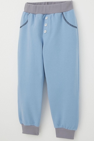 Breeze Erkek Çocuk Eşofman Altı Kedicik Düğme Aksesuarlı Cep Kısmı Kontrast Dikiş Detaylı 1-4 Yaş, Mavi Mavi