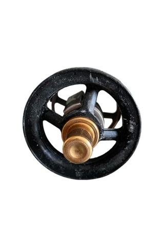 Termostat 75 Derece (Yazlık) 16958.76