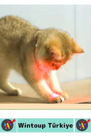 Tasma Esnek Kafa Açılı Ayarlanabilir Silikon Kayış 2 Modlu Şarjlı Otomatik Lazer Kedi Oyun Tasması