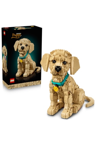 LEGO® Icons Yavru Golden Retriever 11384 - Yetişkinler için Dekoratif Hayvan Figürü Yapım Seti (2102 Parça)