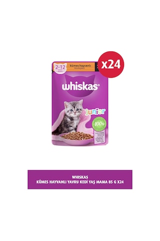 Whiskas Pouch Kümes Hayvanlı Yavru Kedi Maması 24 x 85 G