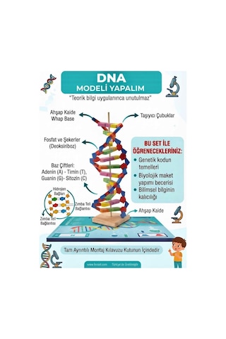 Kendin Yap 3 Boyutlu 72 Parça Dna Model Yapma Eğitici Öğretici Proje Ve Deney Yapım Setleri