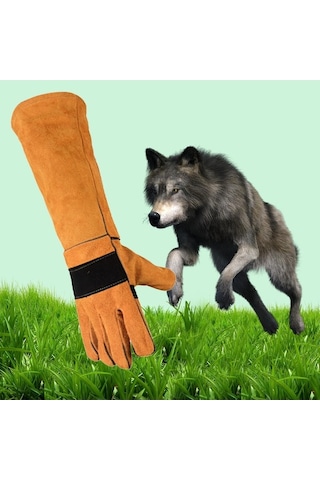 Trendooze Homyl Hayvan Eldivenleri, Anti-çizme, Dayanıklı