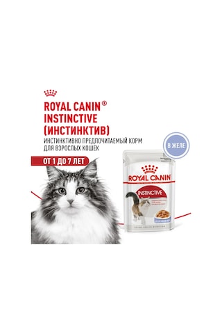 Royal Canin Kedi Maması Instinctive Jöleli 85 G 10 Adet 238639845