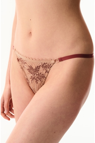 Penti Bej Lace Dantel Brazilian Külot