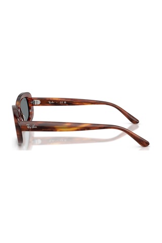 Ray-ban Rb 2221 95462 53 Kadın Oval Kırçıllı Kahverengi Kemik Güneş Gözlüğü Kahverengi