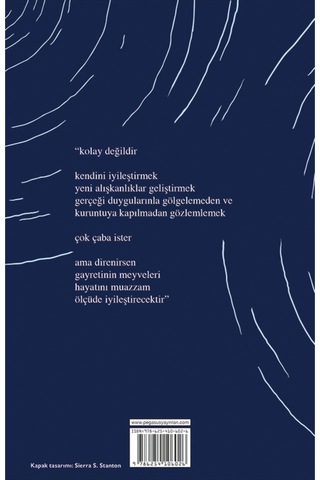 Netlik Ve Bağlantı - İçindeki Evren Üçlemesi 2. Kitap Yung Pueblo