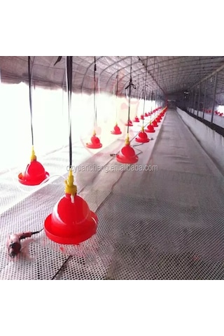 Şamandıralı Suluk