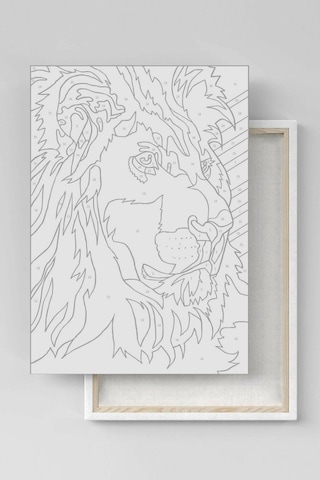 Webstyle Tutkulu Kadın 2 Sayılarla Boyama Seti Kasnaklı 40x50 Cm